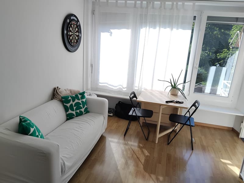 Möblierte 1.5-Zimmer-Wohnung zur Untermiete in Baden ab November (1)