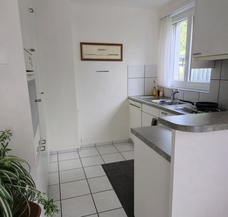 Helle 1.5-Zimmer-Wohnung mit Gartensitzplatz und Einstellhallenplatz (3)