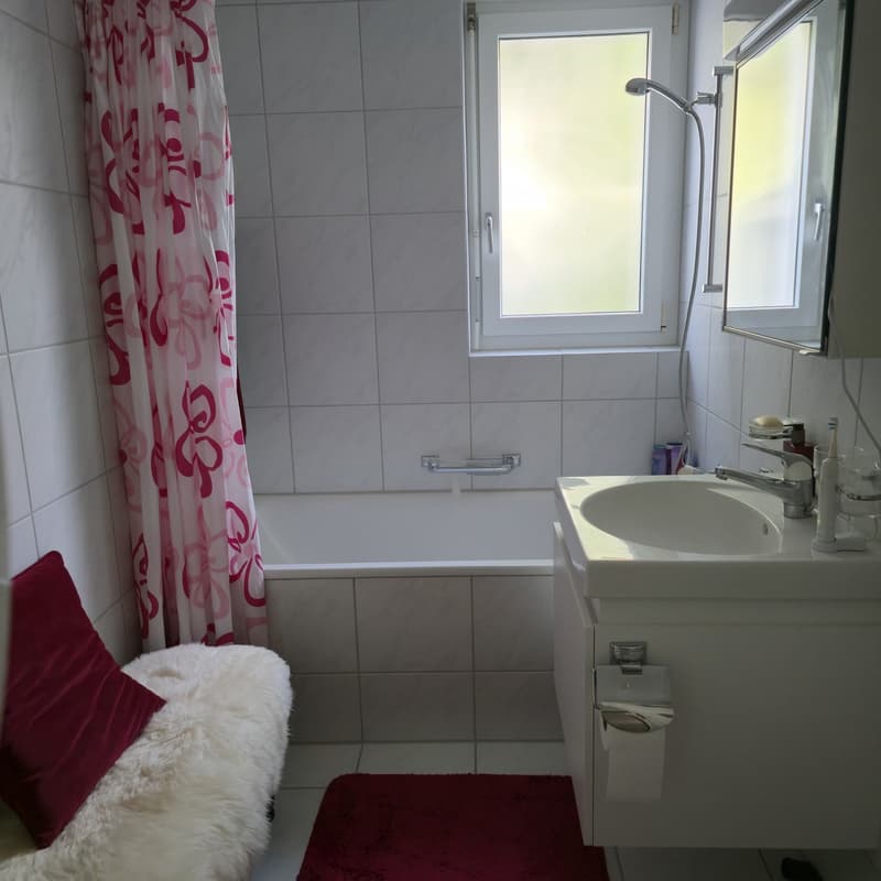 Helle 1.5-Zimmer-Wohnung mit Gartensitzplatz und Einstellhallenplatz (5)