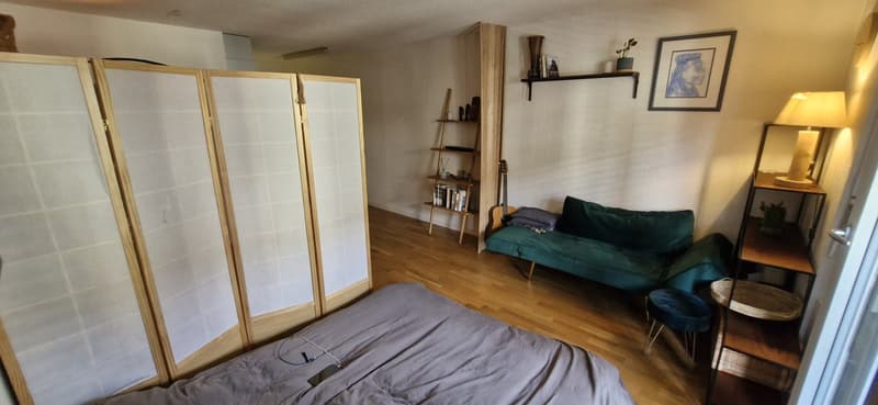 Cute furnished studio in the heart of Enge (5)