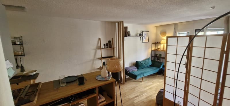 Cute furnished studio in the heart of Enge (6)