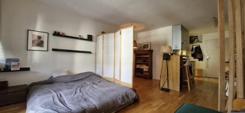 Cute furnished studio in the heart of Enge (2)