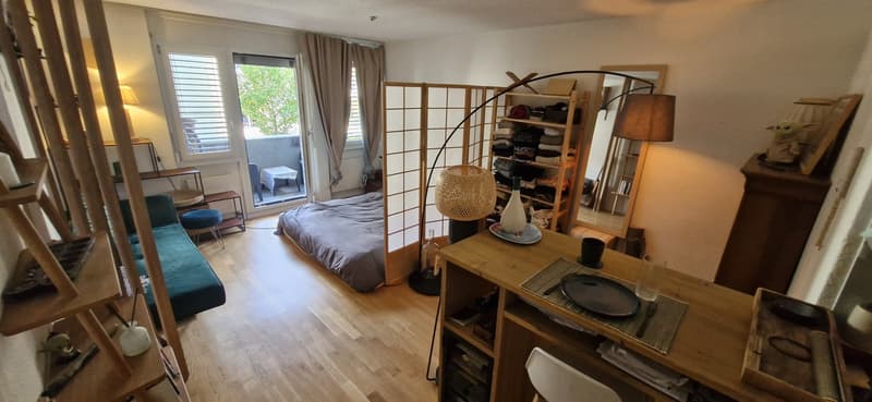 Cute furnished studio in the heart of Enge (7)