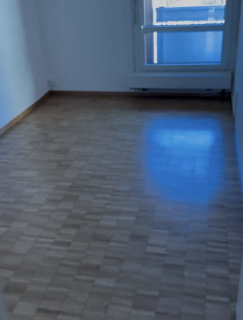 4½ Zimmer Wohnung in Wettingen zentralgelegen (9)
