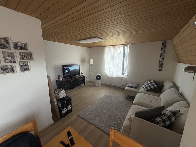 Helle & gemütliche 3-Zimmer-Wohnung in ruhigem 3-Familienhaus mit grossem Garten (3)