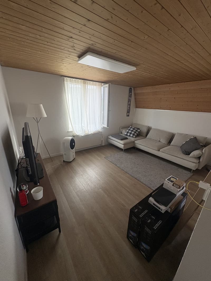 Helle & gemütliche 3-Zimmer-Wohnung in ruhigem 3-Familienhaus mit grossem Garten (1)