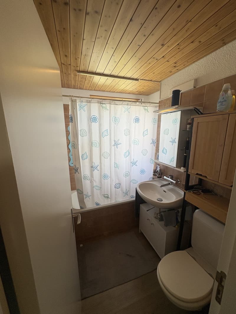 Helle & gemütliche 3-Zimmer-Wohnung in ruhigem 3-Familienhaus mit grossem Garten (6)