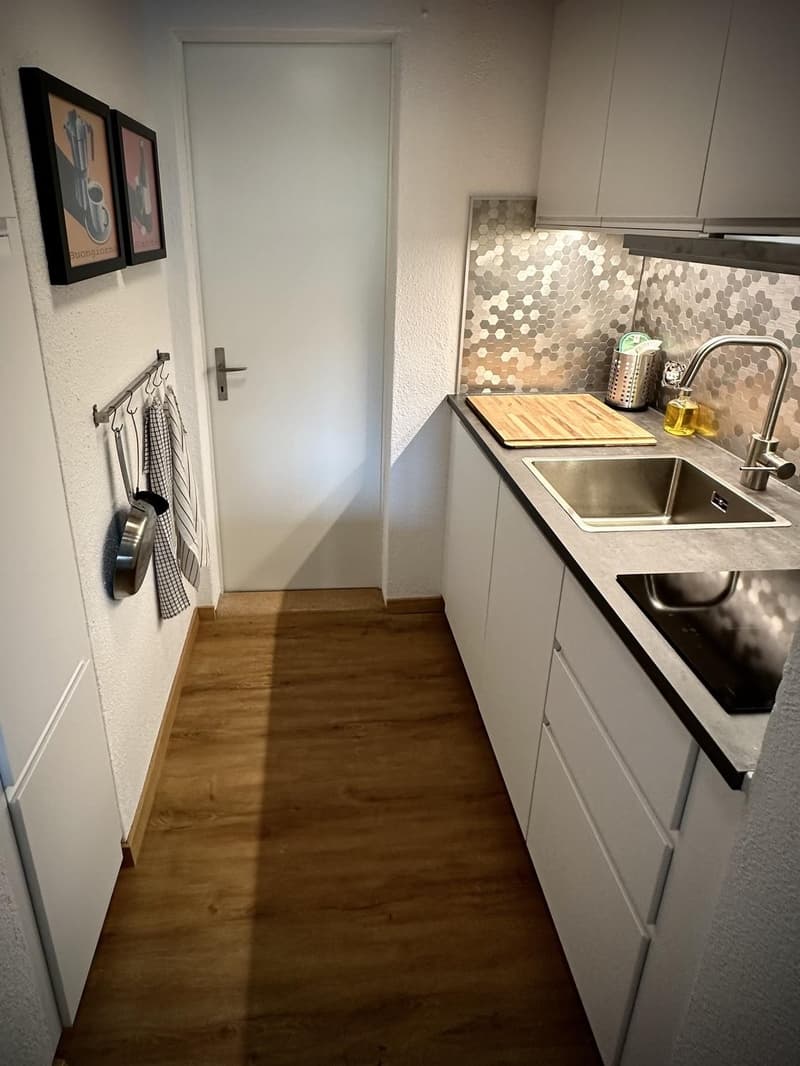 Gemütliche 1-Zimmer Wohnung (4)