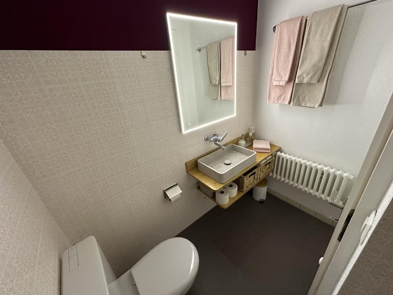 Gemütliche 1-Zimmer Wohnung (5)