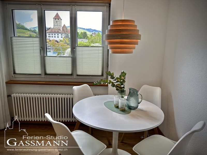 Gemütliche 1-Zimmer Wohnung (3)