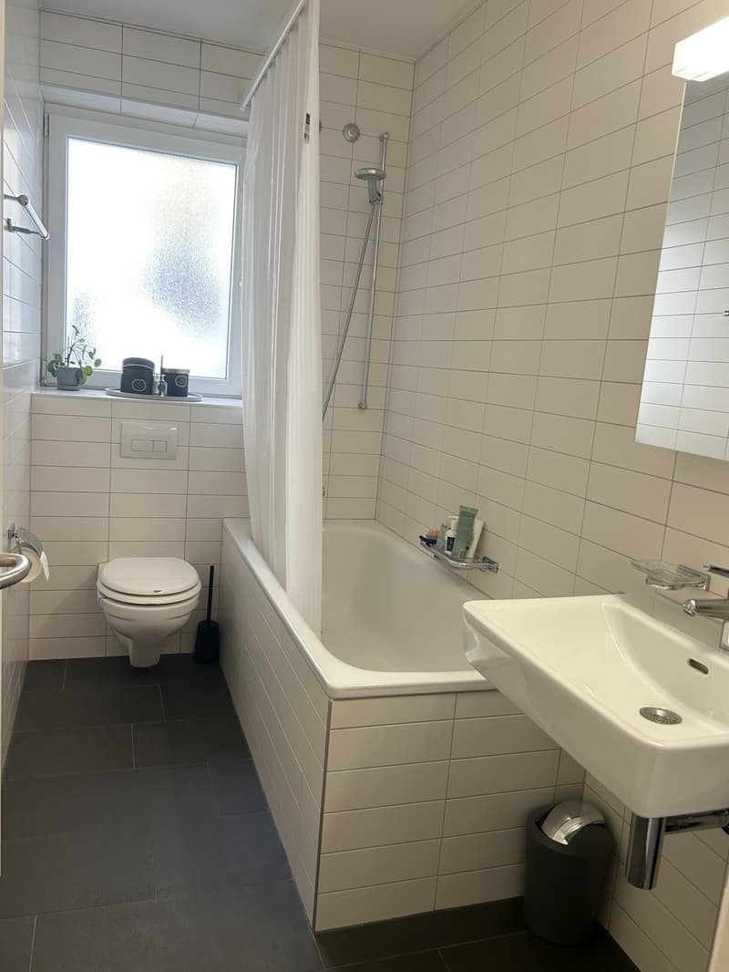 Furnished apartment for sublet in Zurich Seefeld | NovemberJanuary (6)