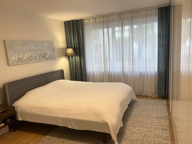 Furnished apartment for sublet in Zurich Seefeld | NovemberJanuary (4)