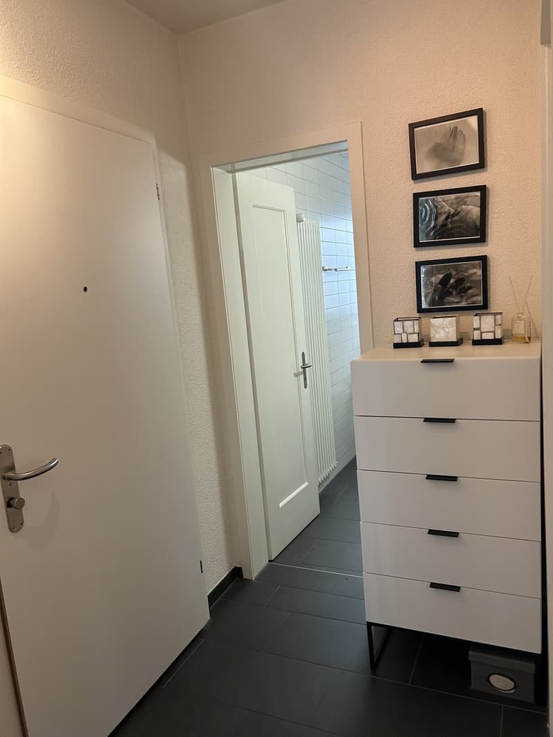 Furnished apartment for sublet in Zurich Seefeld | NovemberJanuary (7)