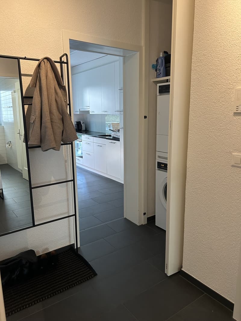 Furnished apartment for sublet in Zurich Seefeld | NovemberJanuary (8)