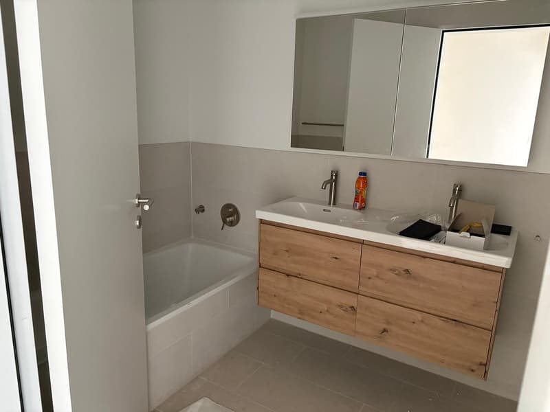 3.5-Zimmer-Attika-Maisonette mit unverbaubarer Aussicht auf dem Bruderholz (8)