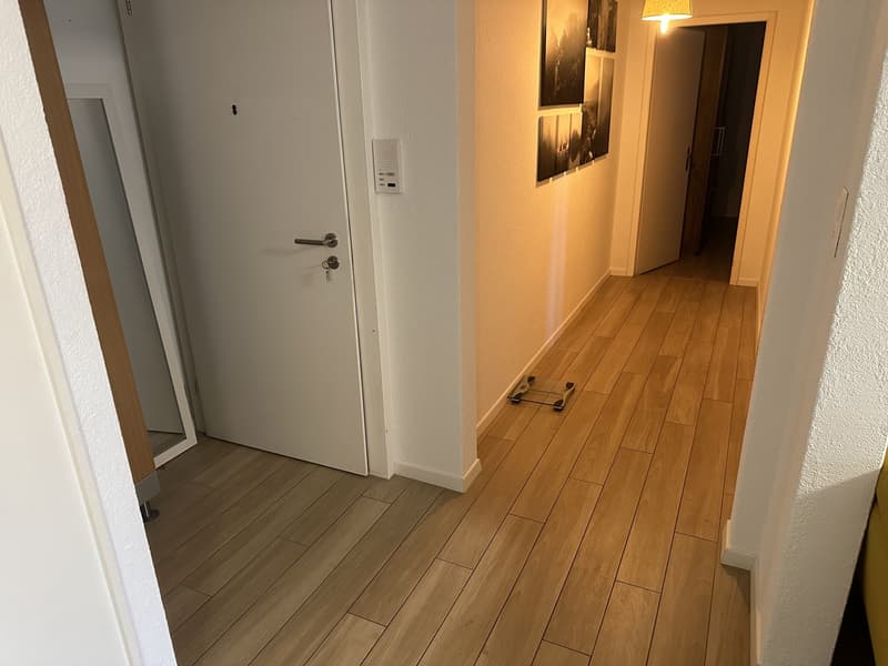 Bright Room in Kloten Quiet and Comfortable Living (5)