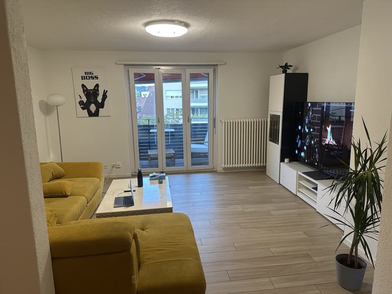 Bright Room in Kloten Quiet and Comfortable Living (1)