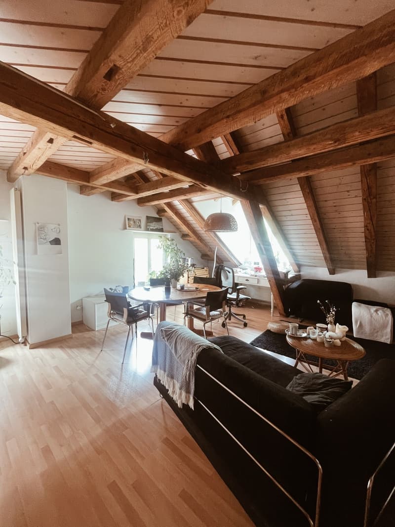 Cozy room Zürich (1)