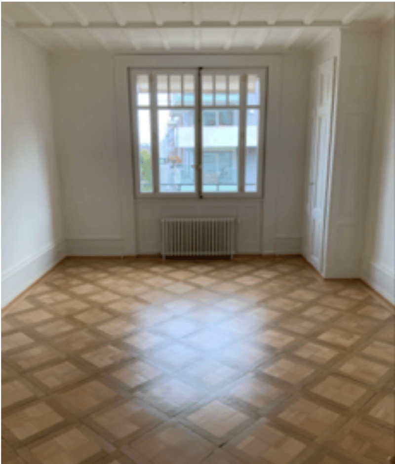 Superbe appartement 5,5 pièces avec balcon et cheminée Saint-Jean / Charmilles (11)