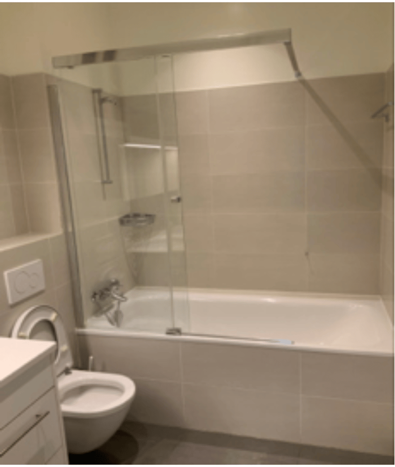 Superbe appartement 5,5 pièces avec balcon et cheminée Saint-Jean / Charmilles (4)