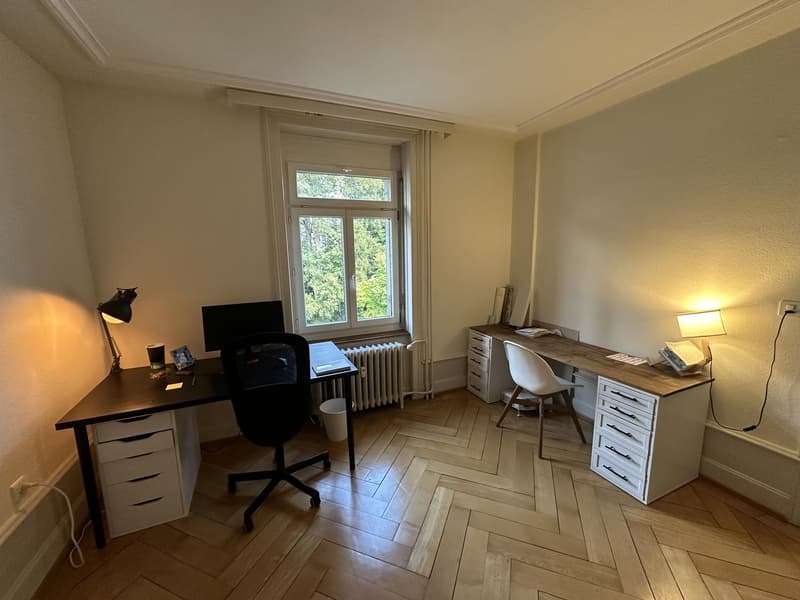 Grosses WG-Zimmer (25 m²+) in Altbauwohnung direkt beim Bahnhof St. Gallen (3)