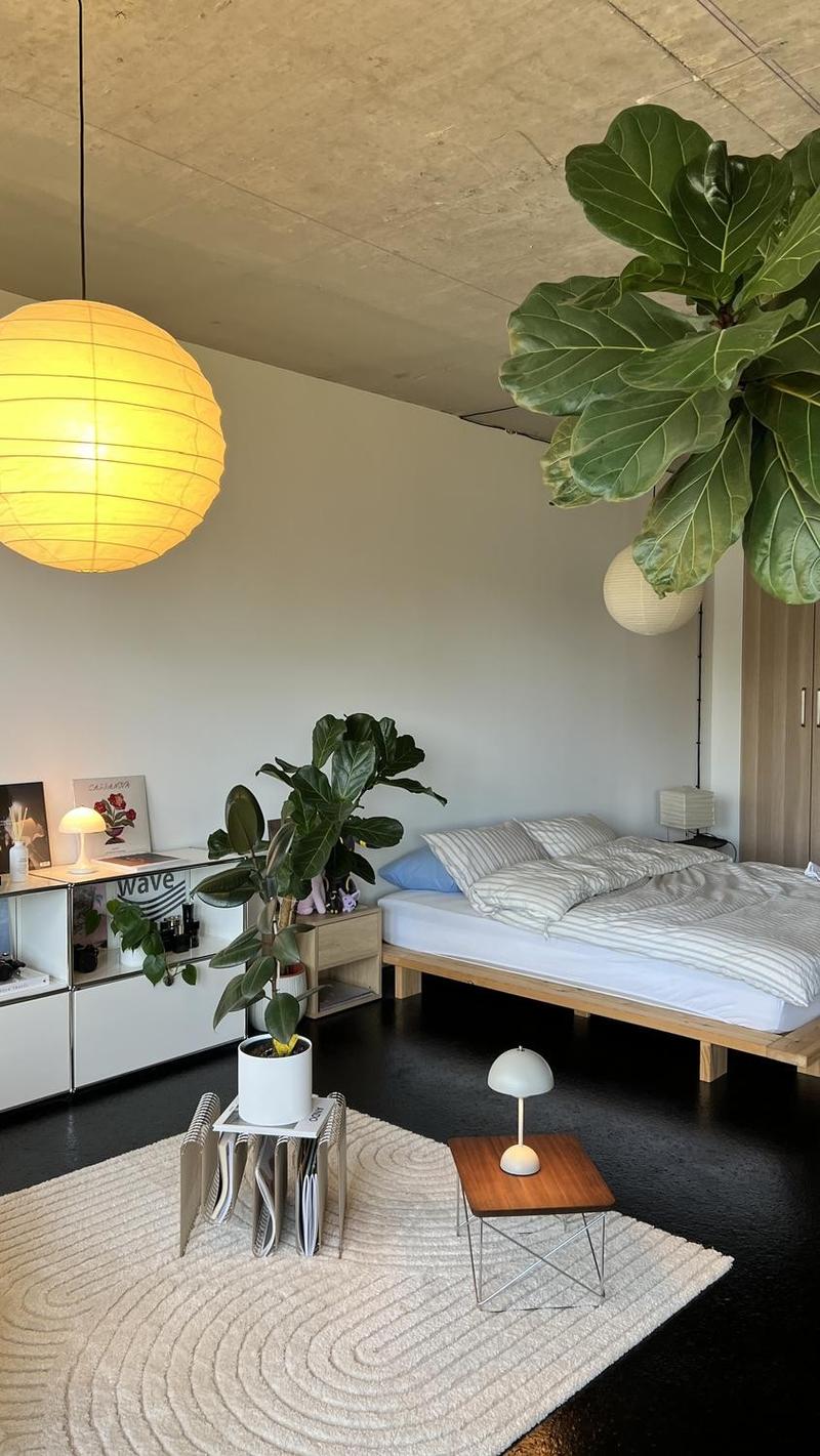 1½ möblierte Zimmer-Wohnung in Zürich (7)