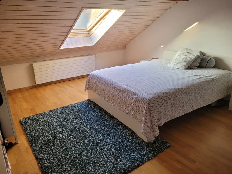 Grande chambre spacieuse et lumineuse en sous-location (1)