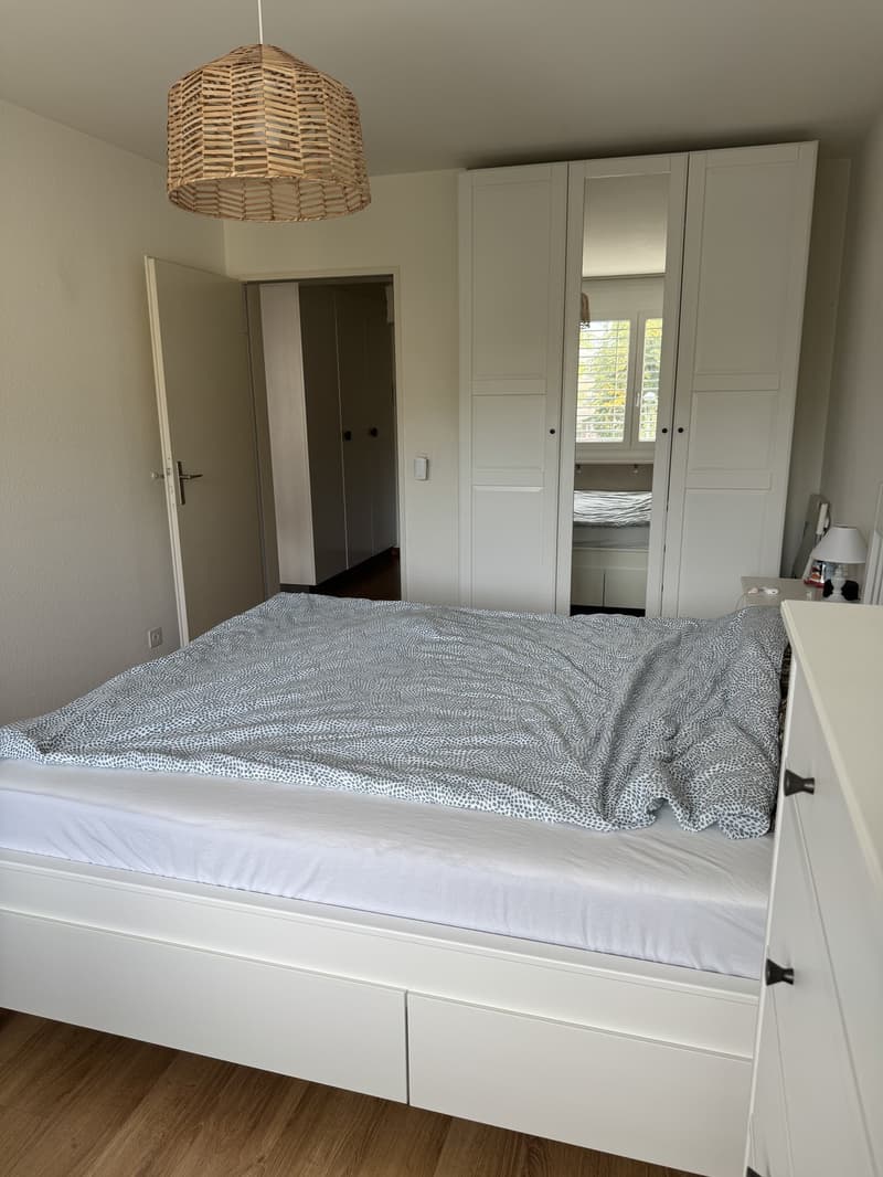 Fully furnished 2-room apartment to sublet for 1 year in Zürich Altstetten (4)