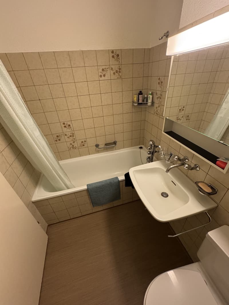 Fully furnished 2-room apartment to sublet for 1 year in Zürich Altstetten (6)