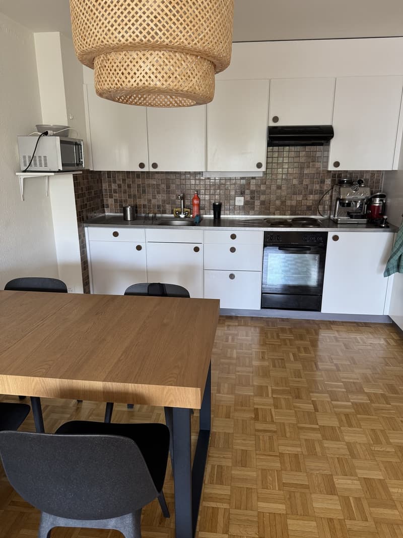 Fully furnished 2-room apartment to sublet for 1 year in Zürich Altstetten (3)