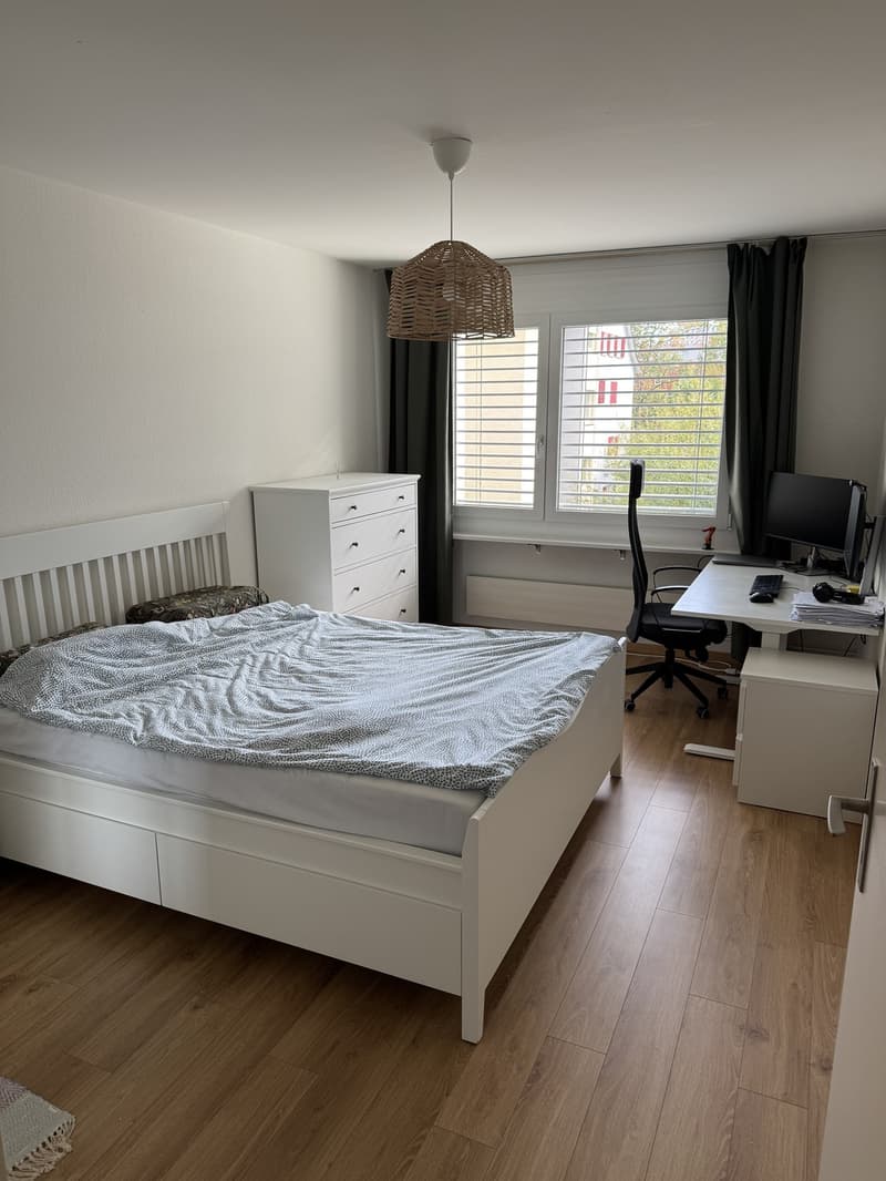 Fully furnished 2-room apartment to sublet for 1 year in Zürich Altstetten (2)