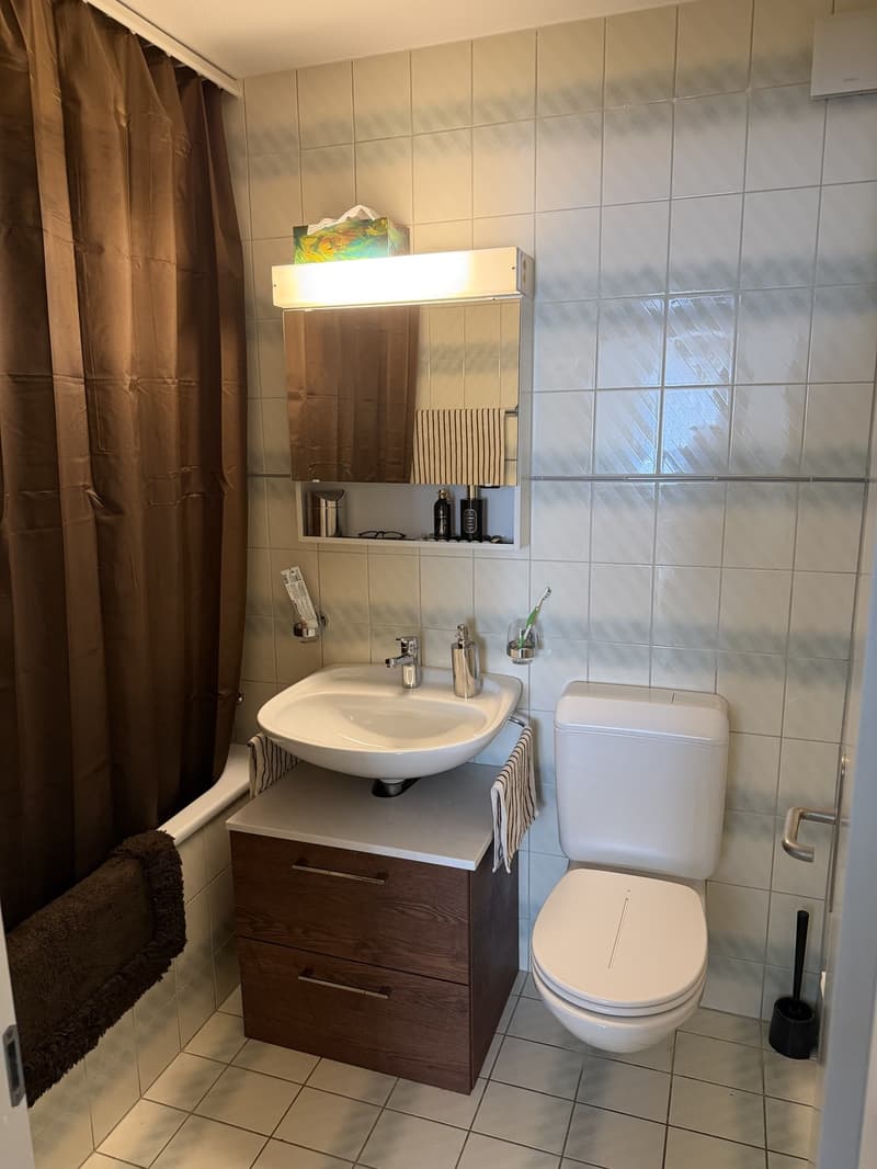 Nachmieter gesucht charmante 3-Zimmer-Wohnung in Bern (12)