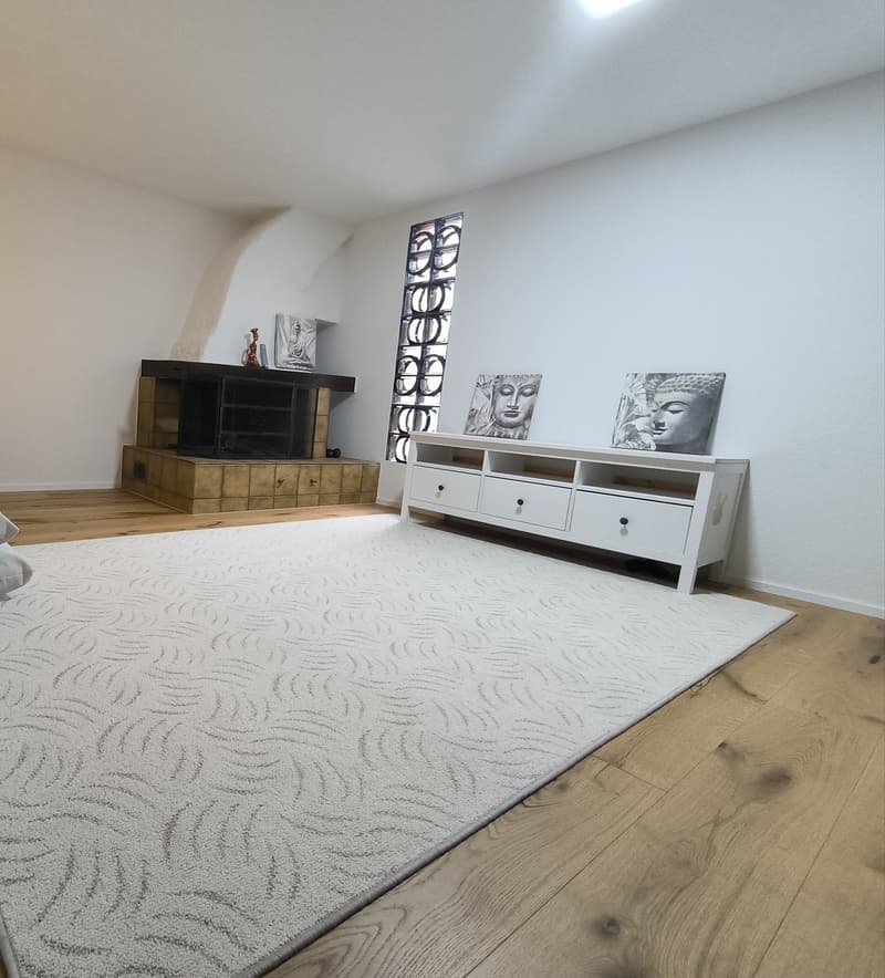2.5 Wohnung Romanshorn (2)