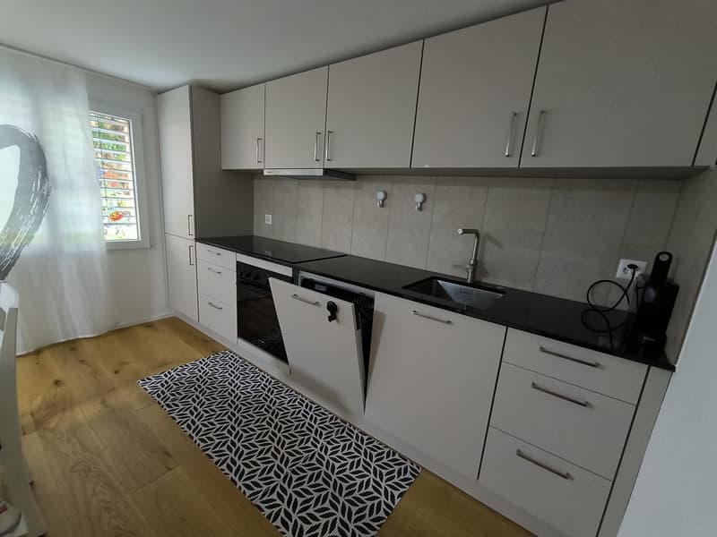 2.5 Wohnung Romanshorn (3)