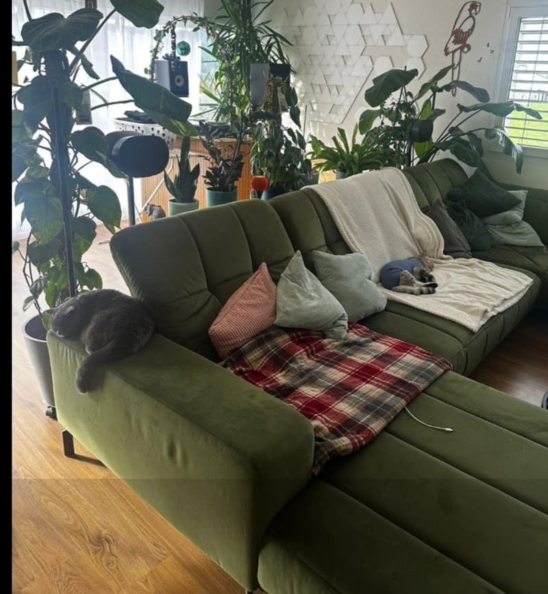 Traumhafte Terrassenwohnung: Helles WG-Zimmer inkl. AnkleidezimmerKatze (6)