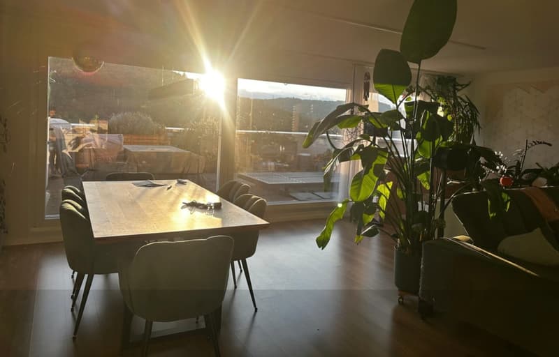 Traumhafte Terrassenwohnung: Helles WG-Zimmer inkl. AnkleidezimmerKatze (1)