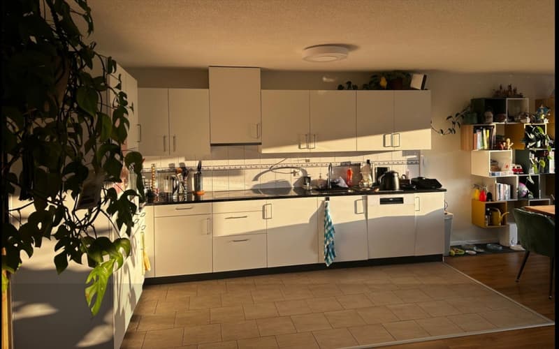 Traumhafte Terrassenwohnung: Helles WG-Zimmer inkl. AnkleidezimmerKatze (7)