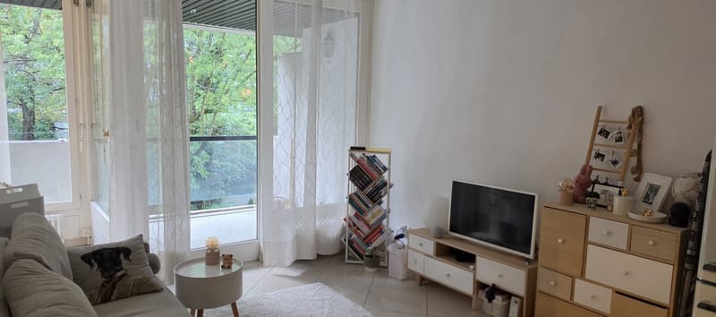 App. 2 pièces Genève Malagnou | 32 m² | CHF 2'250 charges comprises (3)