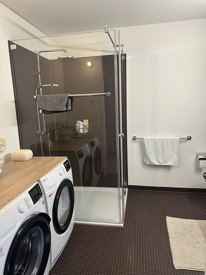 2 ½ Zimmer-Wohnung in Regensdorf mieten (7)