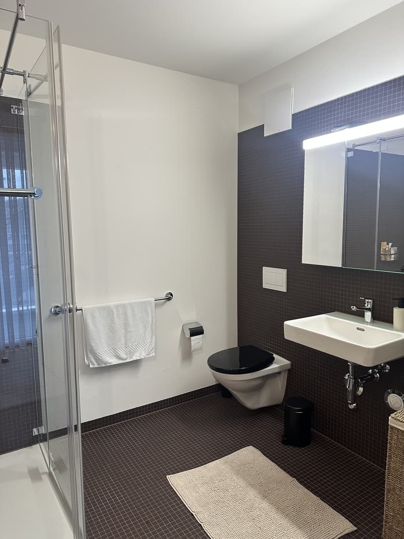 2 ½ Zimmer-Wohnung in Regensdorf mieten (8)