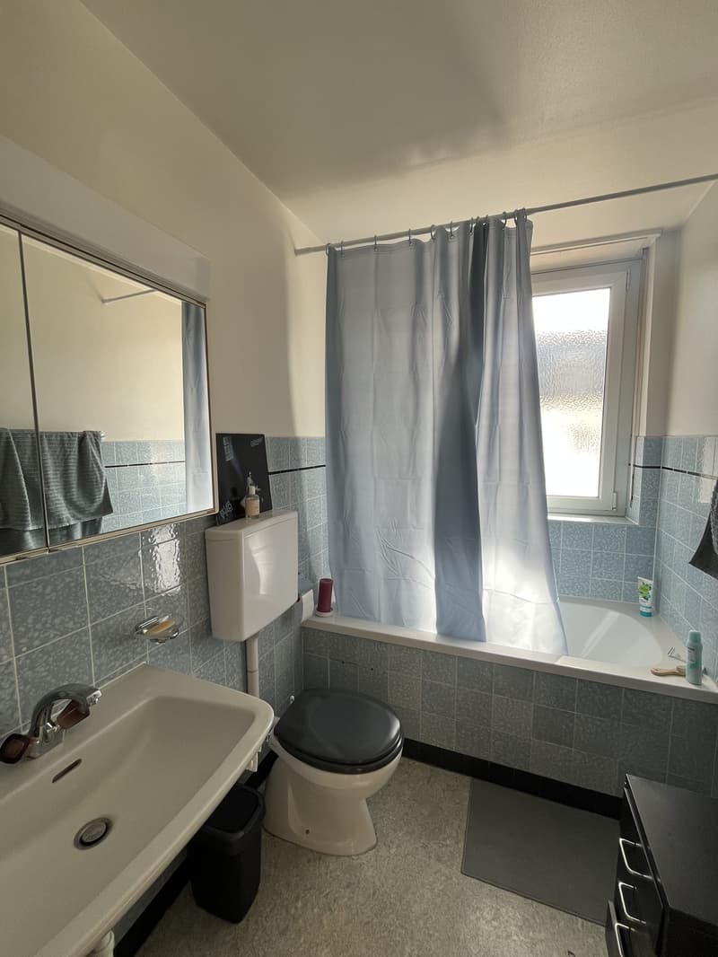 Sonnendurchflutete 1-Zimmer-Wohnung mit grossem Balkon im Iselin Quartier (7)