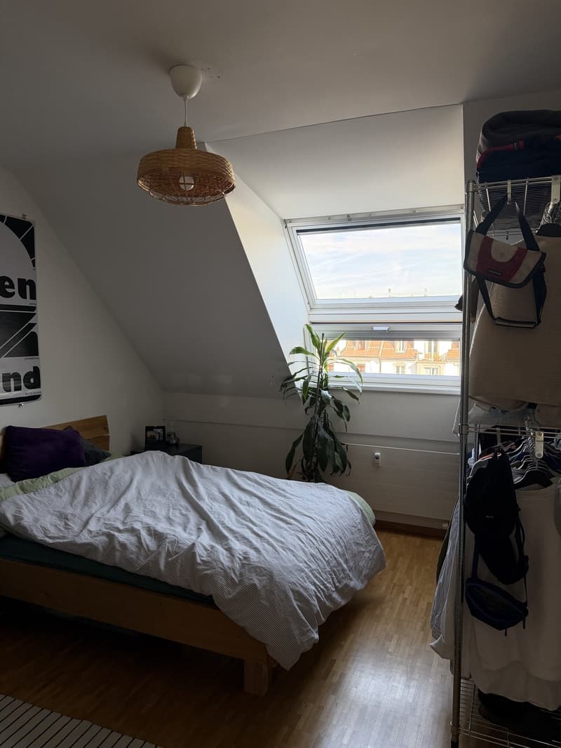 3-Zimmer Attikawohnung zur Untermiete in der Neustadt (5)