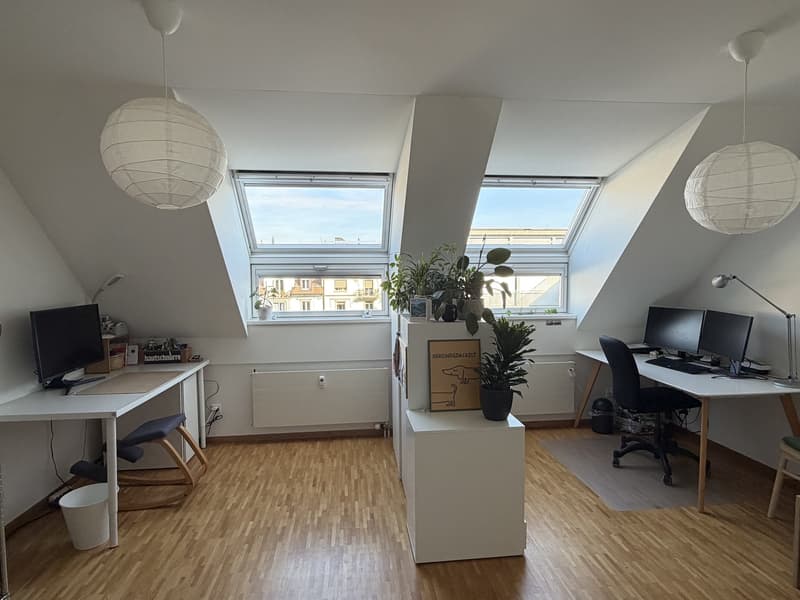3-Zimmer Attikawohnung zur Untermiete in der Neustadt (2)