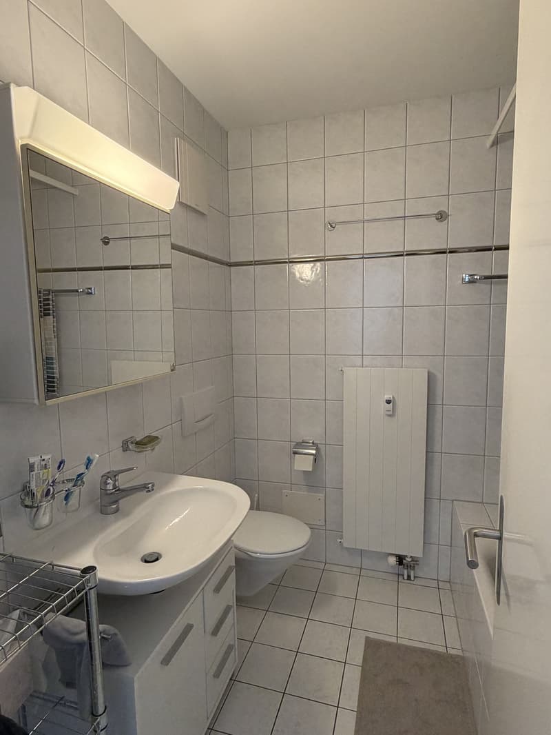 3-Zimmer Attikawohnung zur Untermiete in der Neustadt (7)