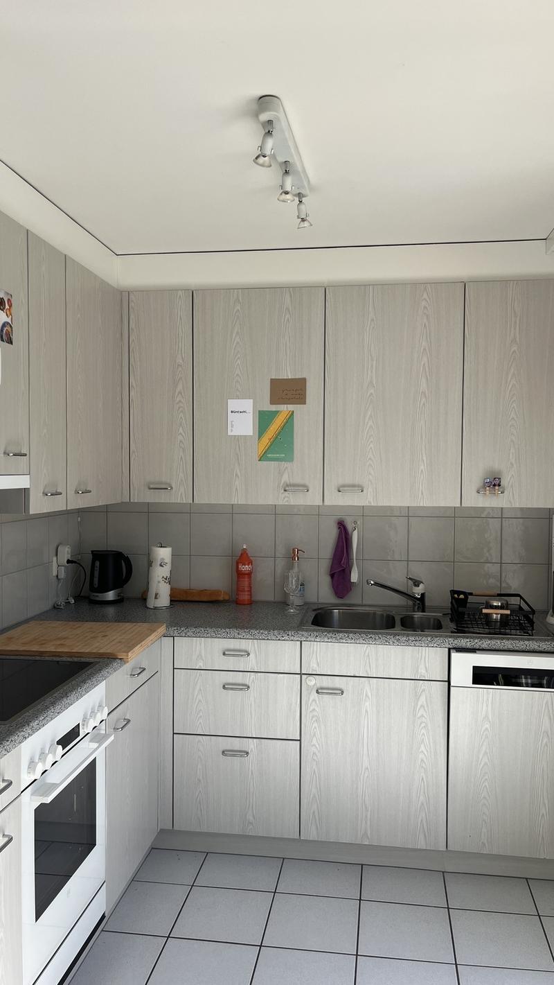 3-Zimmer Attikawohnung zur Untermiete in der Neustadt (3)