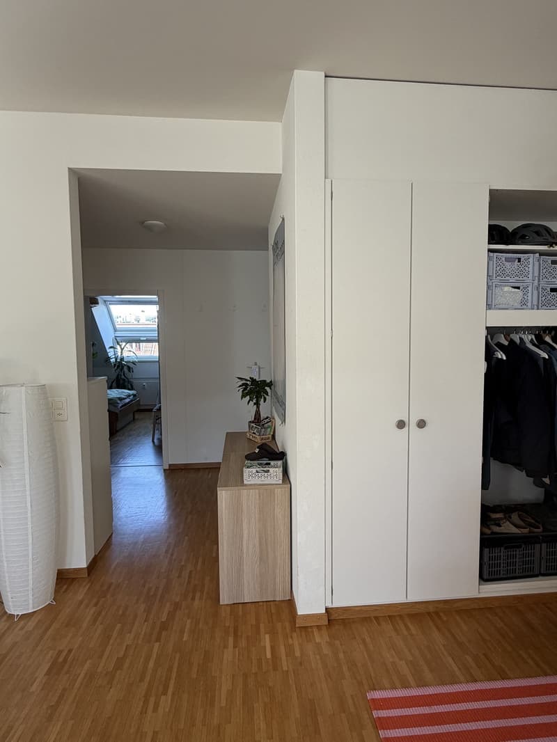 3-Zimmer Attikawohnung zur Untermiete in der Neustadt (6)