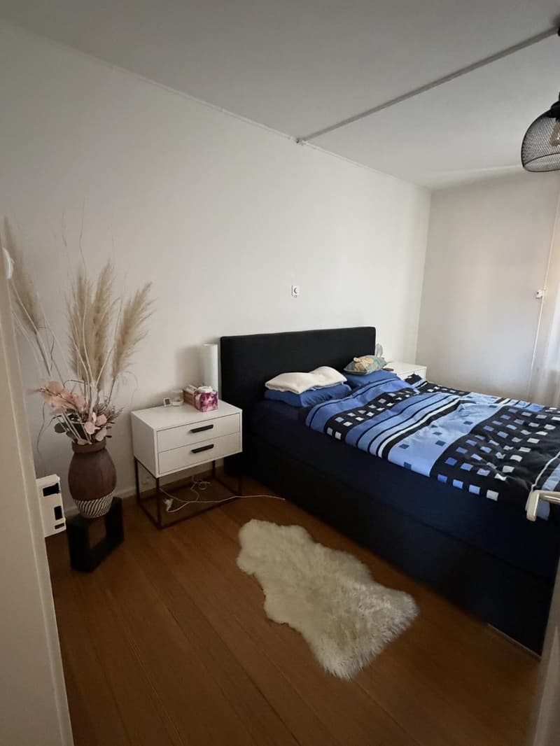 3 Zimmer-Wohnung, 4563 Gerlafingen (8)