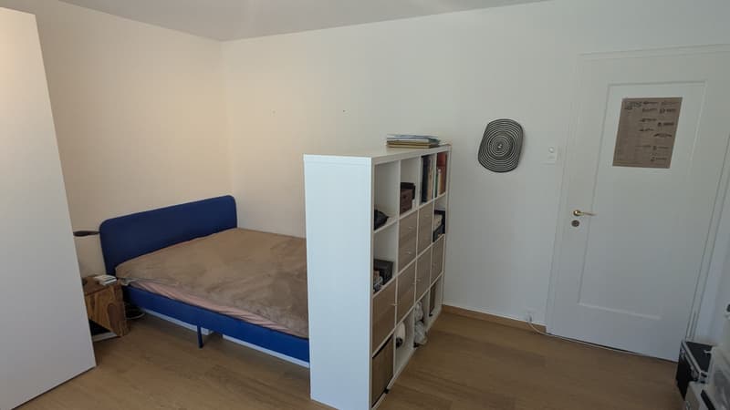 WG-Zimmer Möbliert in Höngg (befristet) (4)