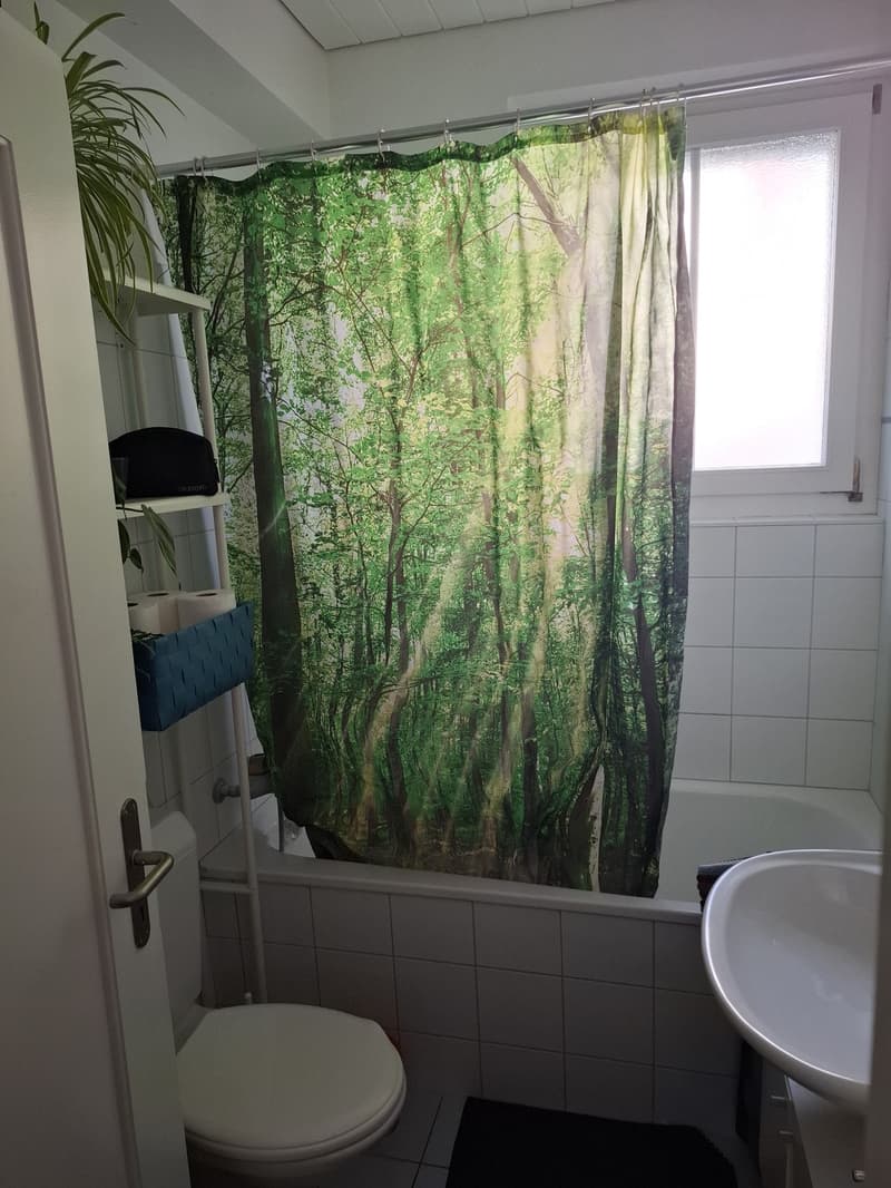 Schöne Wohnung im Liebefeld (4)