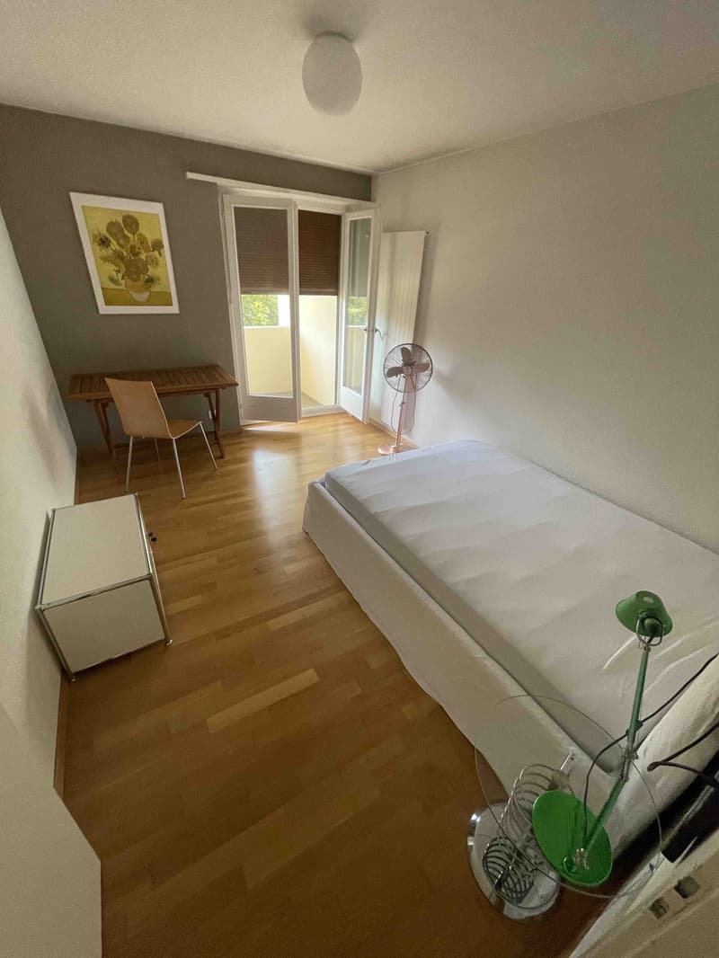 Ruhiges Nichtraucher WG-Zimmer zu vermieten (1)